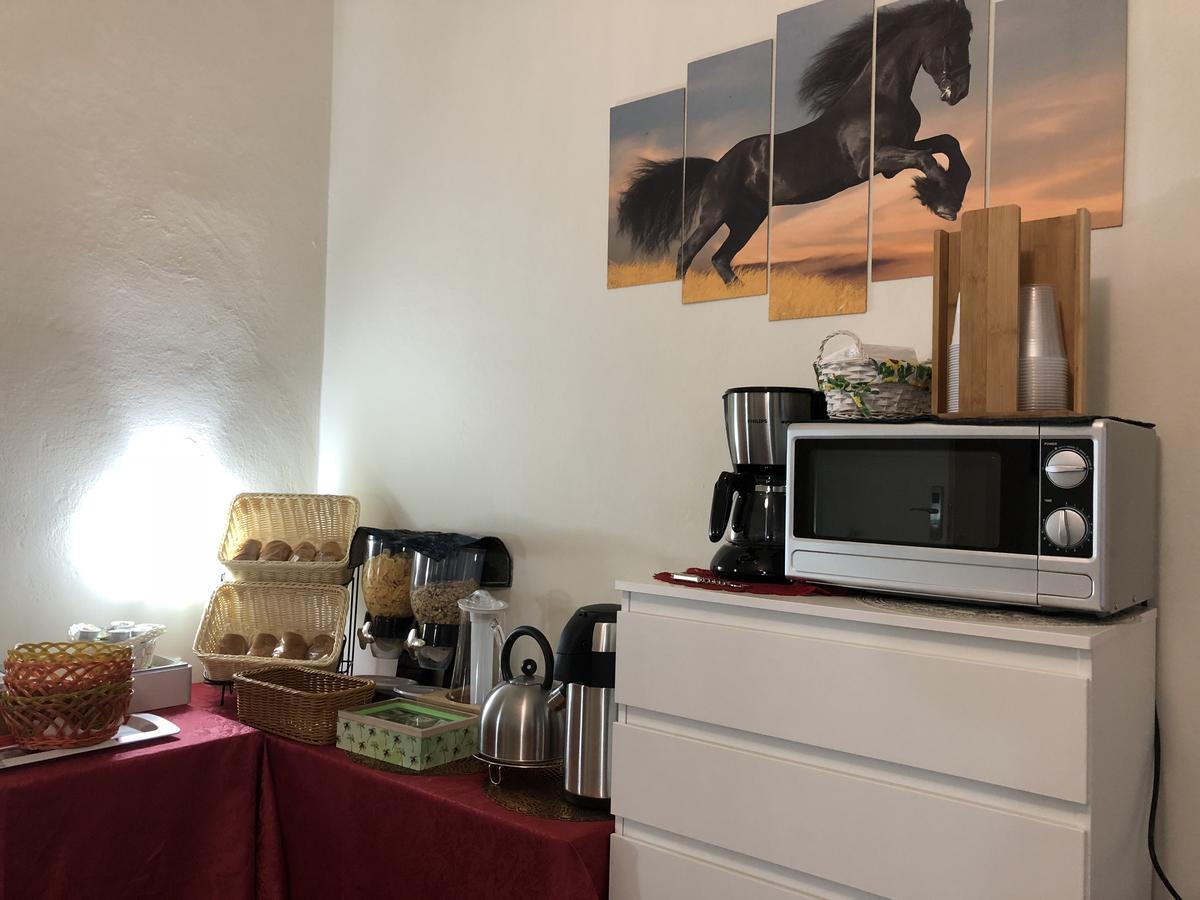 Aliante Turist House Bed & Breakfast Пиза Екстериор снимка